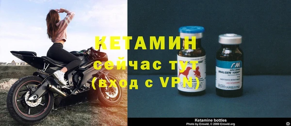 крисы Магас