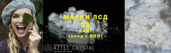 крисы Магас
