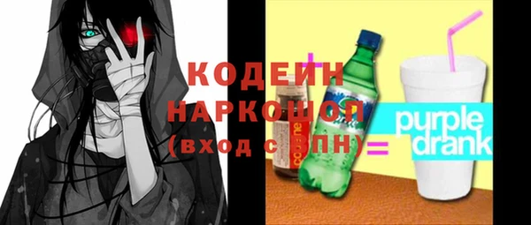 крисы Магас