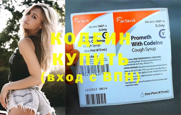 крисы Магас