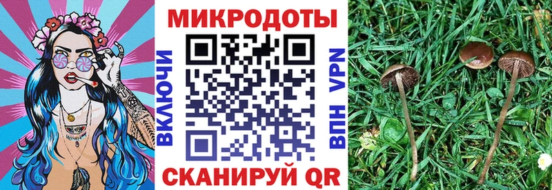 Псилоцибиновые грибы Magic Shrooms  закладка  Черноголовка 